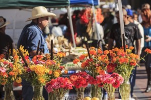 Shoppers at Santa Fe Saturday Market next to rail yard enjoy bounty of fall harvest, Santa Fe, New Mexico, USA